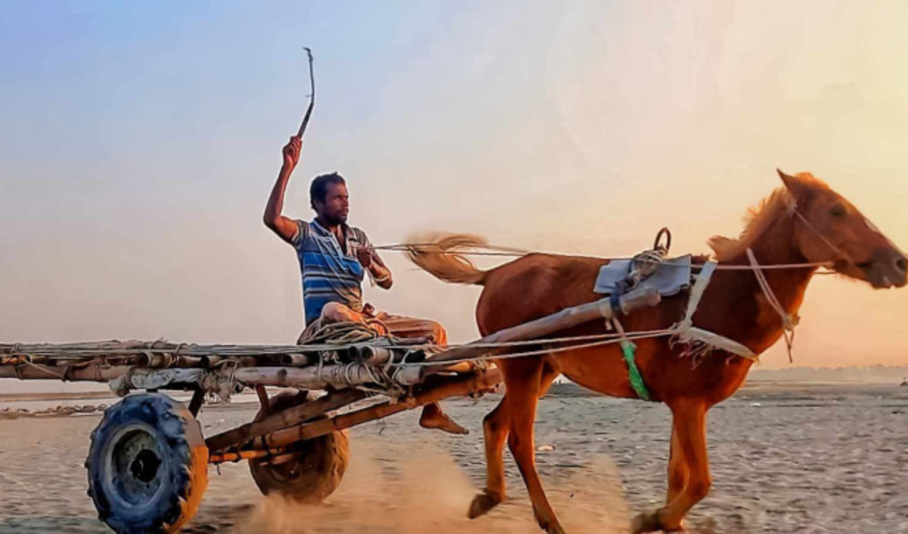 Untitled design 1 1745951468 যমুনার চরে ভরসা ঘোড়ার গাড়ি