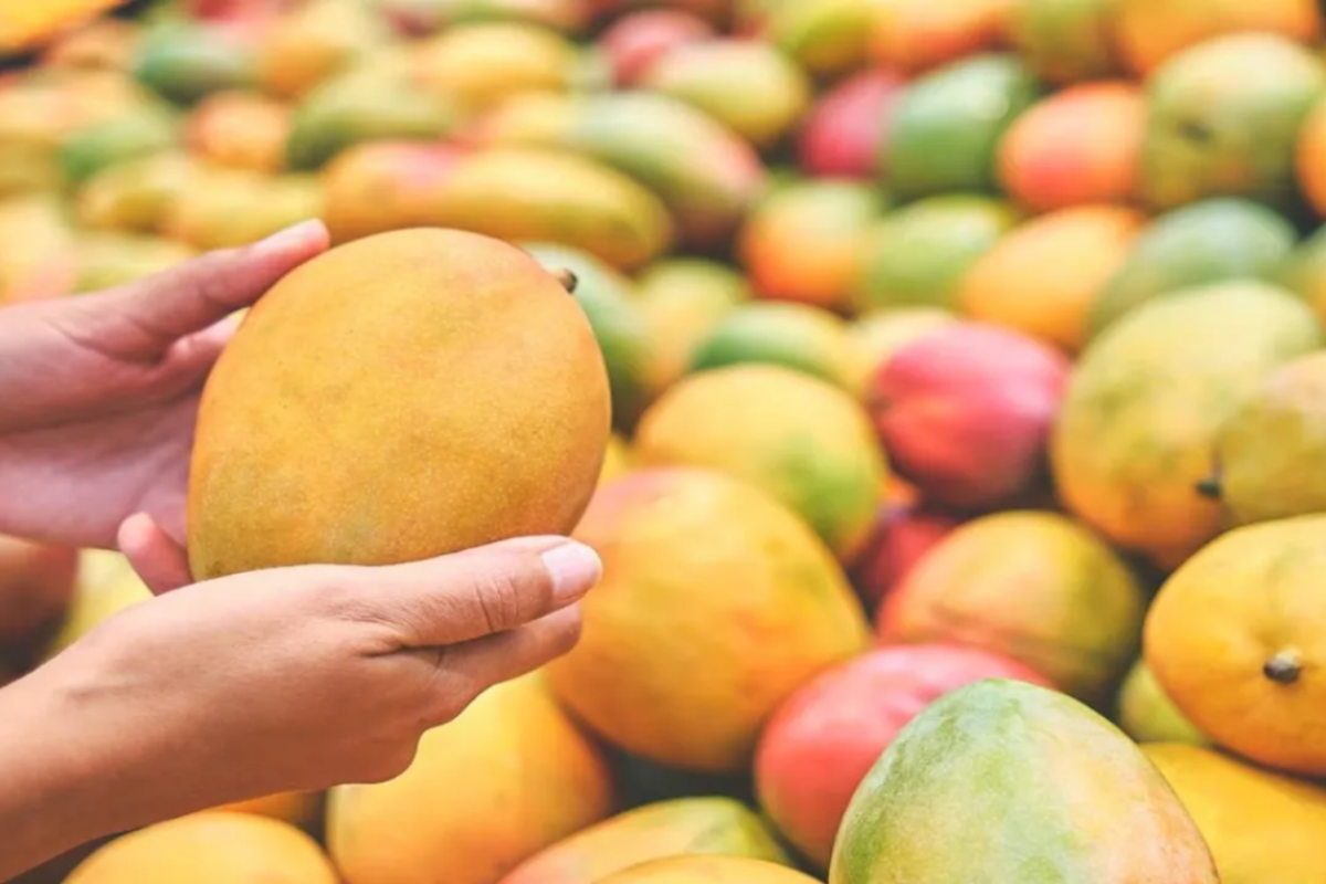 কাতারে আগামী জুন বা জুলাই মাসে অনুষ্ঠিত হবে বাংলাদেশি আম উৎসব