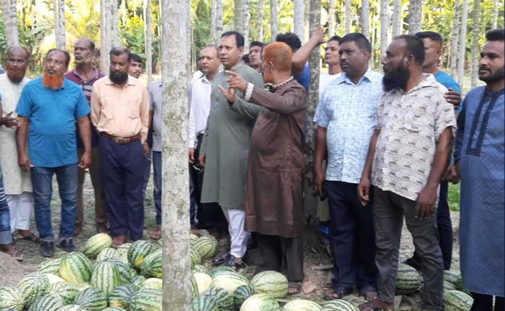 aabbc 69 1744377094 তরমুজ বাণিজ্যে ‘চাঁদামুক্ত’ রাখতে বিএনপি নেতার মতবিনিময়