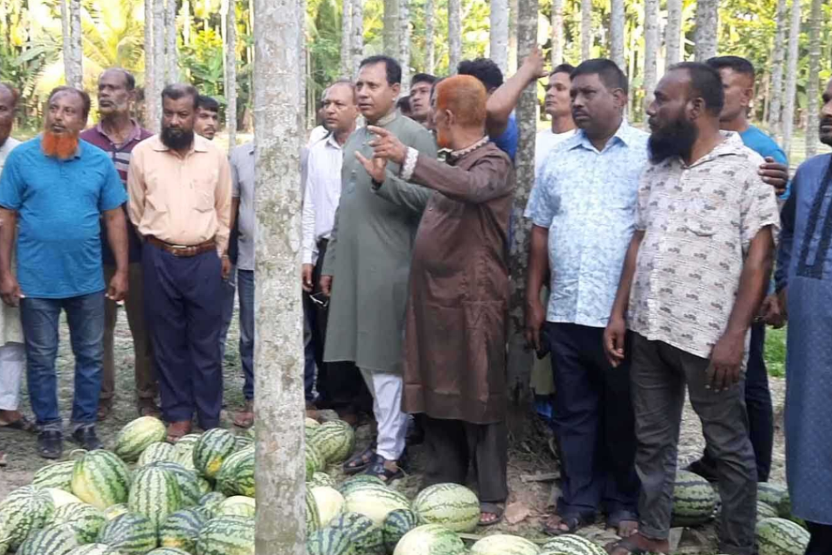 তরমুজ বাণিজ্যে ‘চাঁদামুক্ত’ রাখতে বিএনপি নেতার মতবিনিময়