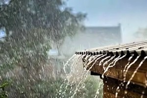 যে দিন থেকে ঢাকাসহ সাত বিভাগে হতে পারে বৃষ্টি