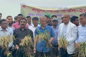 দেশে কোন খাদ্য সংকট হবে না: কৃষি উপদেষ্টা