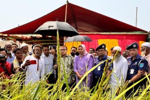 সরকা‌রের কা‌ছে য‌থেষ্ট খাদ‌্যশস‌্য মজুত র‌য়ে‌ছে : খাদ্য উপ‌দেষ্টা