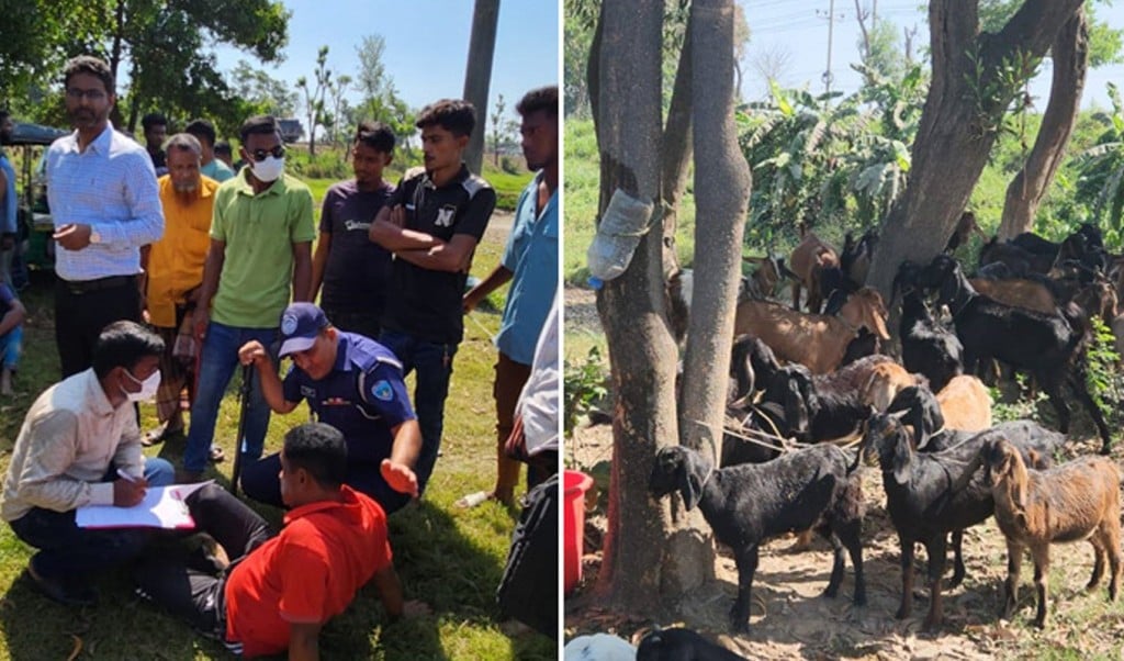 কুমিল্লায় 1744265181 ছাগলের পেটে জোরপূর্বক পানি ঢুকিয়ে ওজন বৃদ্ধি, ৯ জনের কারাদণ্ড