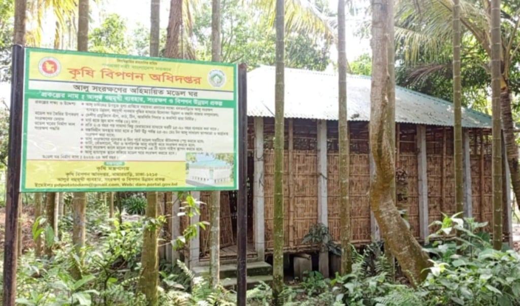 কৃষি বিপণন কেন্দ্র 1745583252 বগুড়ায় প্রাকৃতিকভাবে দুই হাজার মেট্রিক টন আলু সংরক্ষণ কৃষকের