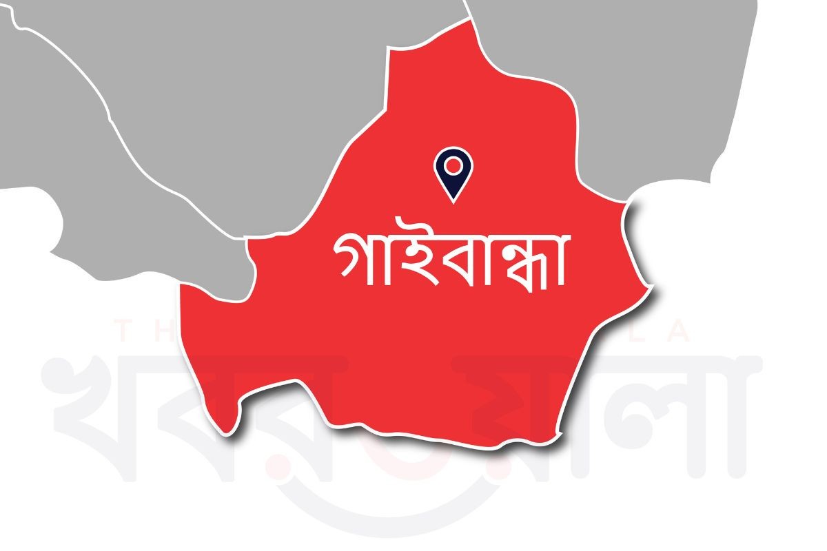 পলাশবাড়ীতে সড়ক দুর্ঘটনায় ২ জন নিহতের ঘটনায় বাস চালক আটক