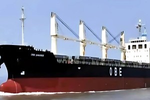 চট্টগ্রাম বন্দরে পৌঁছেছে ভিয়েতনাম থেকে আমদানি করা ২০ হাজার টন চাল