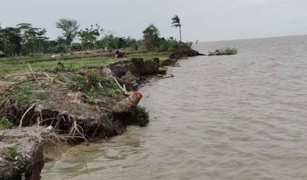 নদীভাঙন 1745326073 বর্ষা আসার আগেই শুরু কুন্ডেরচরে নদীভাঙন, হুমকিতে ঘরবাড়ি ও ফসলি জমি