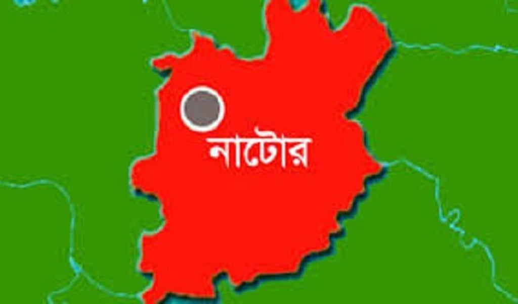 নাটোর 1743498019 নাটোরে বিদ্যুৎস্পৃষ্টে প্রাণ গেলো যুবকের