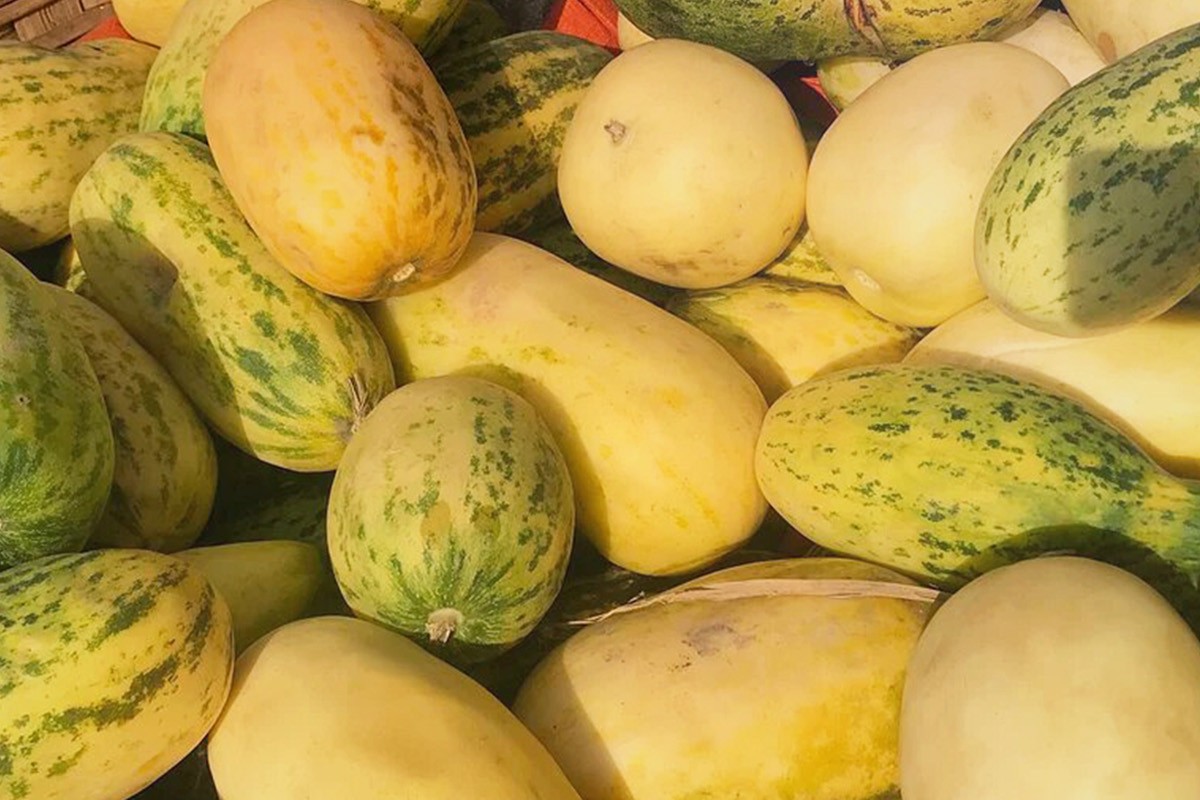 বাঙ্গি খাওয়ার ১০টি উপকারিতা