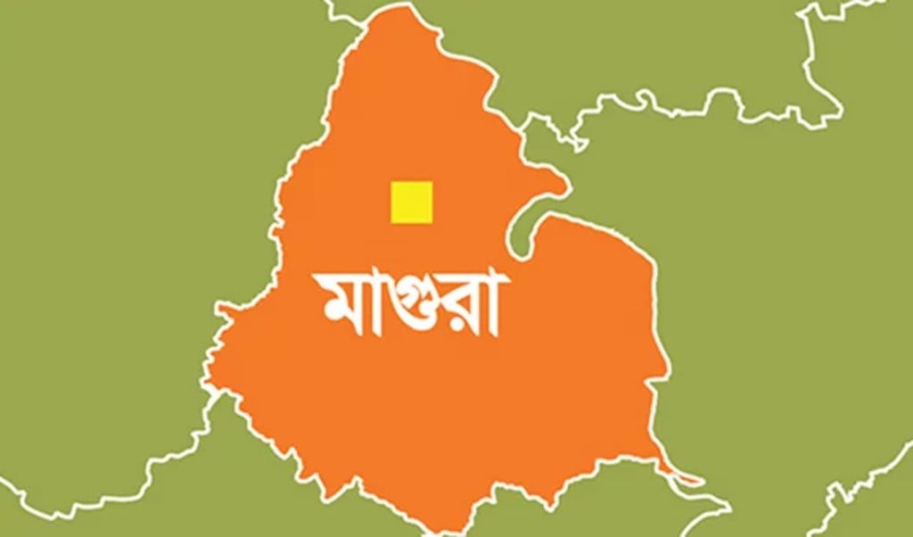 মাগুরা 1743914122 মাগুরায় বিএনপির দুই পক্ষের সংঘর্ষ, আহত ১০