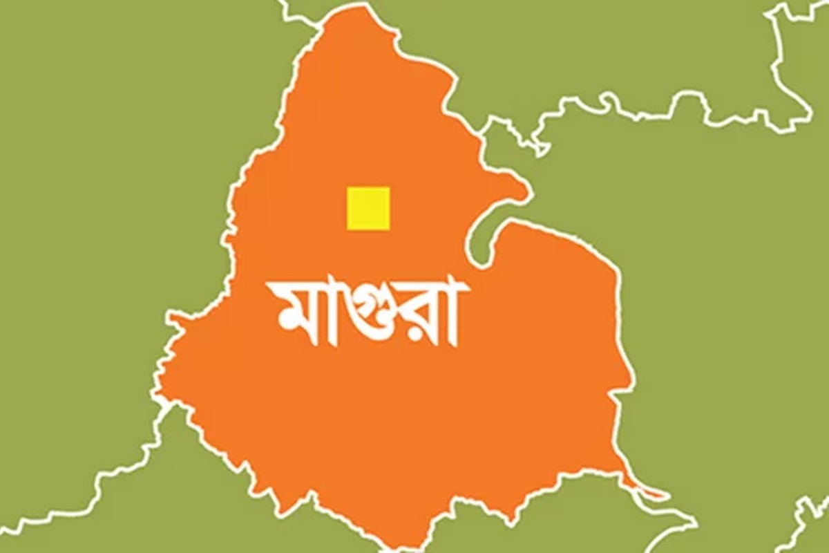 মাগুরায় বিএনপির দুই পক্ষের সংঘর্ষ, আহত ১০