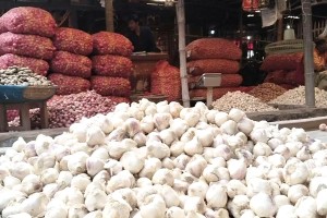 ‌এমন কী হয়ে গেলো বাজারে, ৮০ টাকার রসুন কিনতে হচ্ছে ১৪০-১৫০ টাকায়’