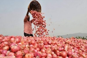 ১৭ টাকা ৪০ পয়সা কেজিতে পেঁয়াজ বিক্রি করলো কাস্টমস