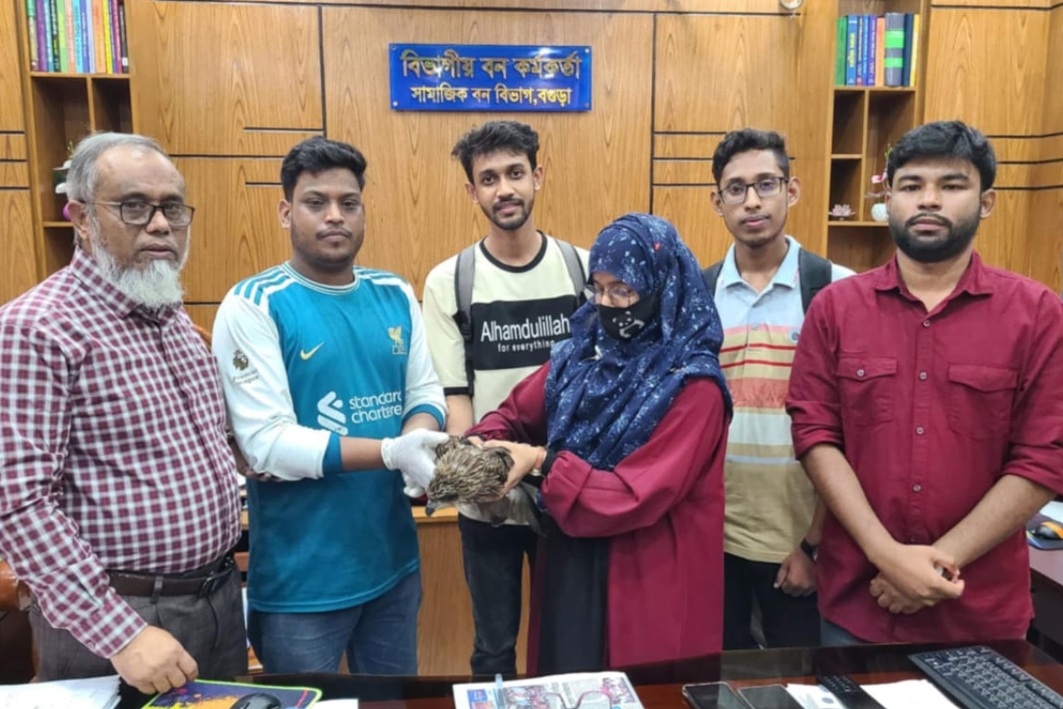 বগুড়ায় আহত ভুবন চিল উদ্ধার, বন বিভাগের কাছে হস্তান্তর