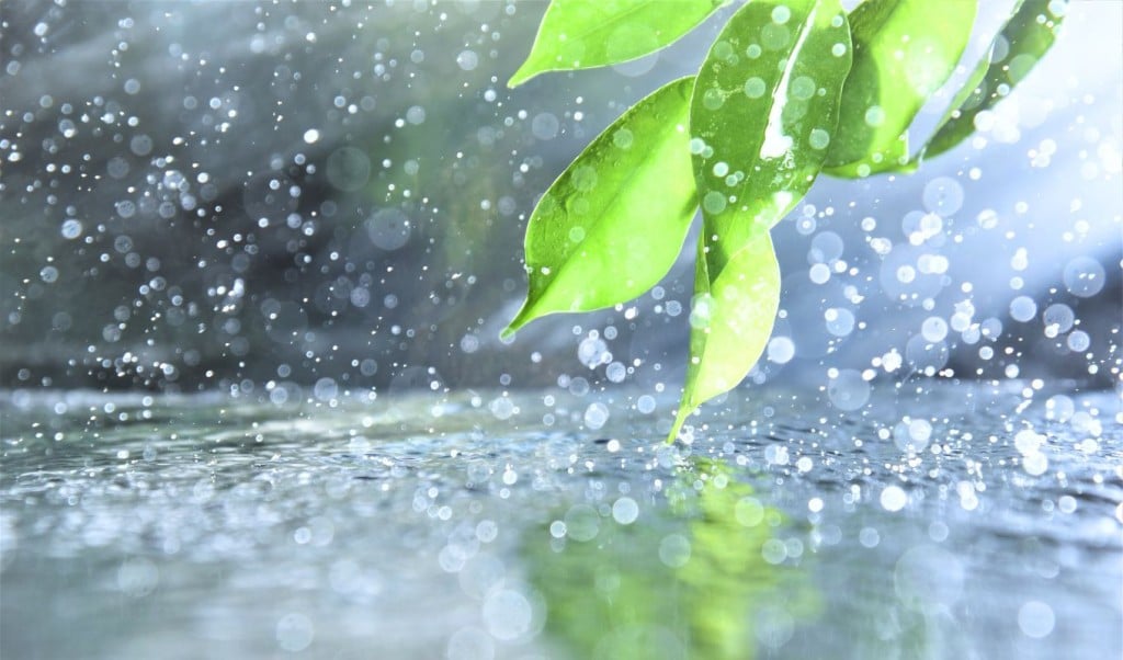 আবহাওয়ার পালাবদল ছায়া বৃষ্টি আর প্রশ্ন—ঘূর্ণিঝড় আসবে 1747733320 আবহাওয়ার পালাবদল: ছায়া, বৃষ্টি আর প্রশ্ন—ঘূর্ণিঝড় আসবে?