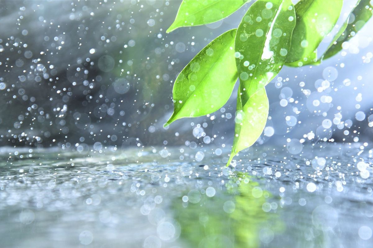 আবহাওয়ার পালাবদল: ছায়া, বৃষ্টি আর প্রশ্ন—ঘূর্ণিঝড় আসবে?