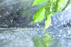 আবহাওয়ার পালাবদল: ছায়া, বৃষ্টি আর প্রশ্ন—ঘূর্ণিঝড় আসবে?