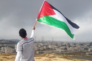 এখন থেকে বিশ্ব স্বাস্থ্য সংস্থায় পতাকা উত্তোলন করতে পারবে ফিলিস্তিন