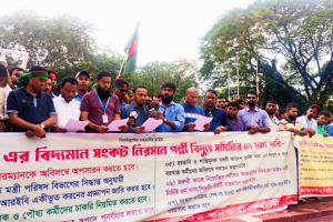 এবার কর্মবিরতির ঘোষণা পল্লী বিদ্যুৎ সমিতির