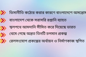 ভারত–বাংলাদেশ বাণিজ্য বিধিনিষেধ, ক্ষতির মুখে ব্যবসায়ীরা