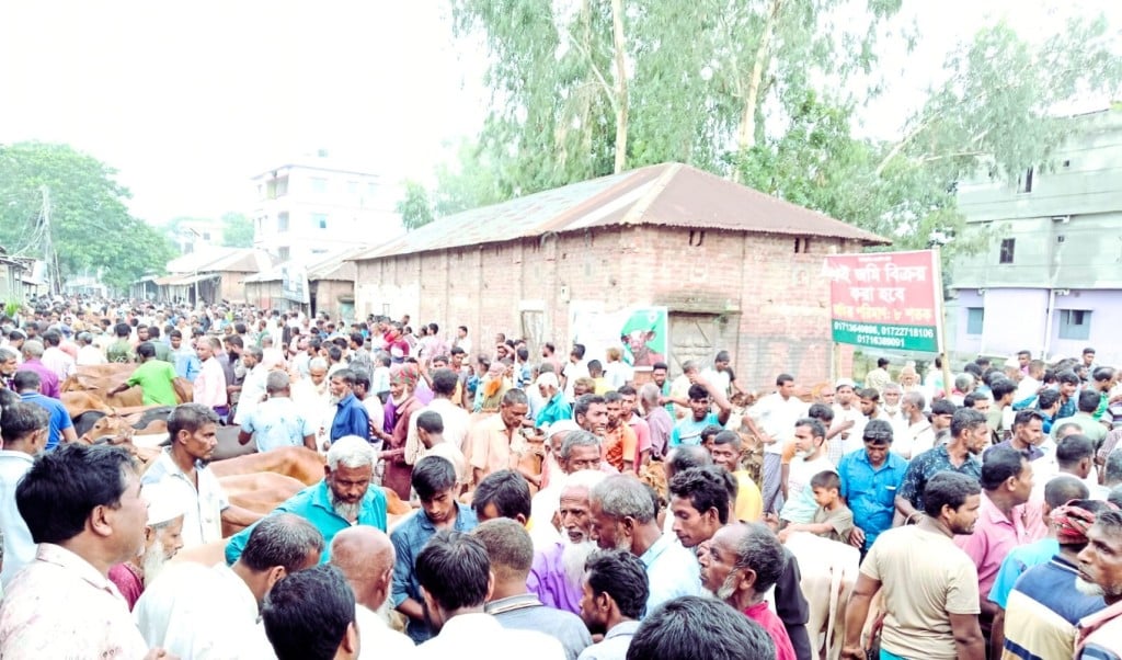 গাইবান্ধায় জমে উঠেছে কোরবানির পশুর হাট বিক্রিতে মন্থরতা 1748704094 গাইবান্ধায় জমে উঠেছে কোরবানির পশুর হাট, বিক্রিতে মন্থরতা