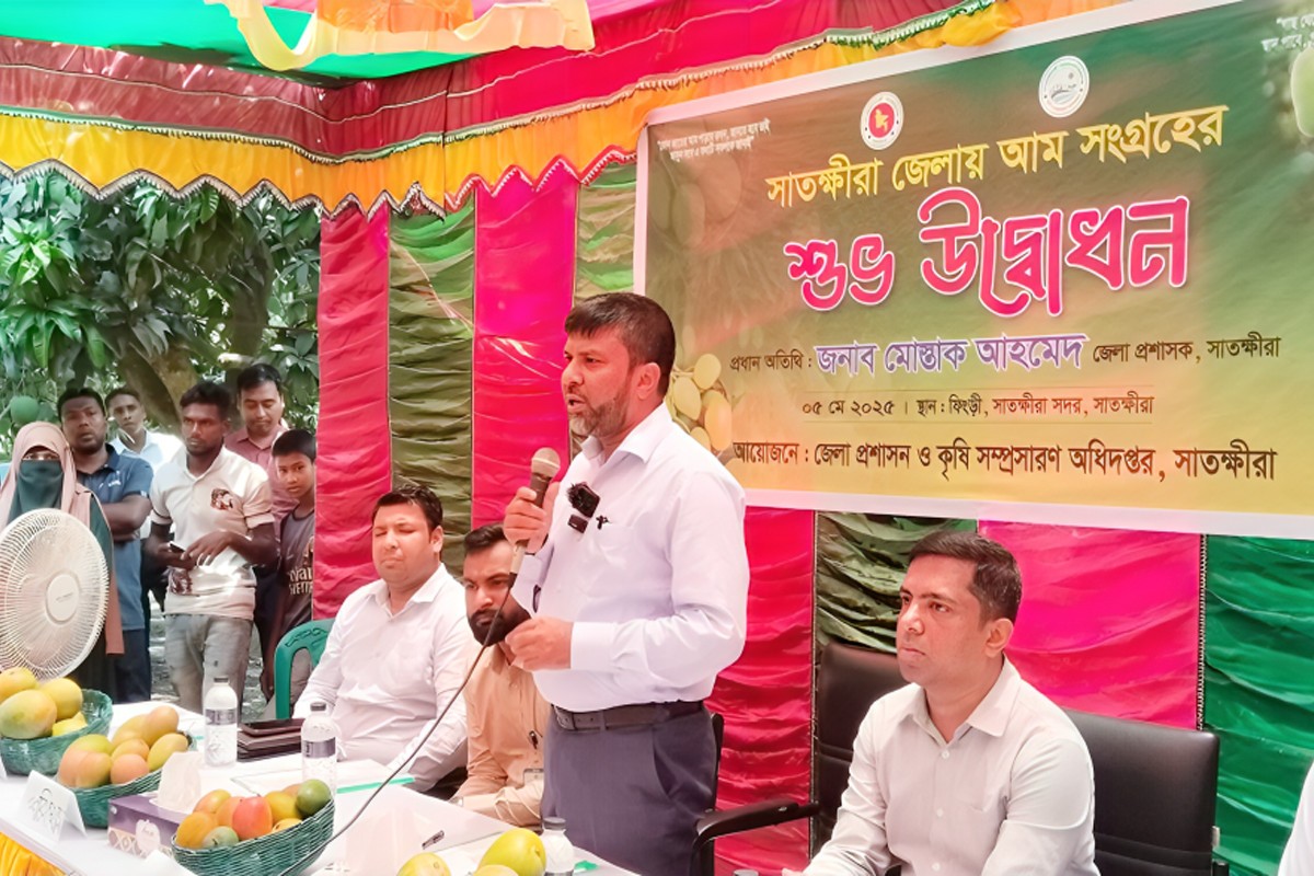 যে কারণে আমকে জাতীয় ফল ঘোষণা করার প্রস্তাব সাতক্ষীরার ডিসির