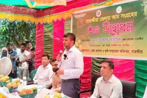 যে কারণে আমকে জাতীয় ফল ঘোষণা করার প্রস্তাব সাতক্ষীরার ডিসির