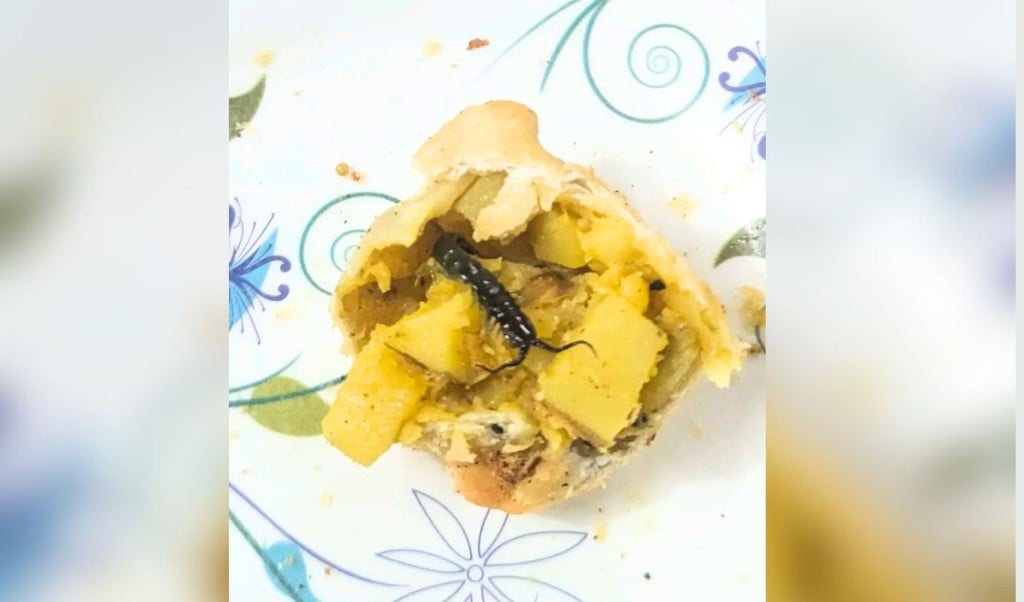 জাবির ক্যাফেটেরিয়ায় সিঙ্গারায় মিলল পোকা 1747129546 জাবির ক্যাফেটেরিয়ার সিঙ্গারায় মিলল চ্যালা পোকা — খাবারের মান নিয়ে ফের উঠলো প্রশ্ন
