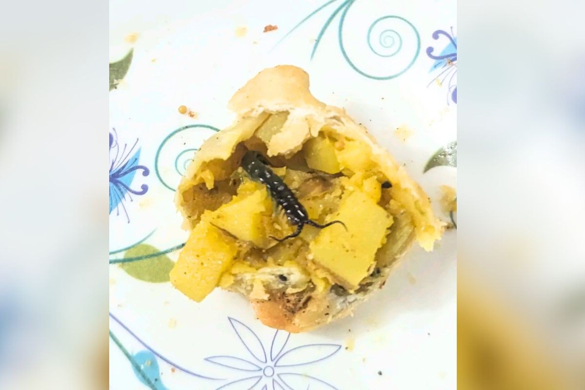 জাবির ক্যাফেটেরিয়ার সিঙ্গারায় মিলল চ্যালা পোকা — খাবারের মান নিয়ে ফের উঠলো প্রশ্ন