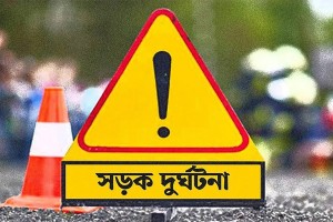 ছেলের জন্য পাত্রী দেখে ফেরার পথে বাবা-মার মৃত্যু