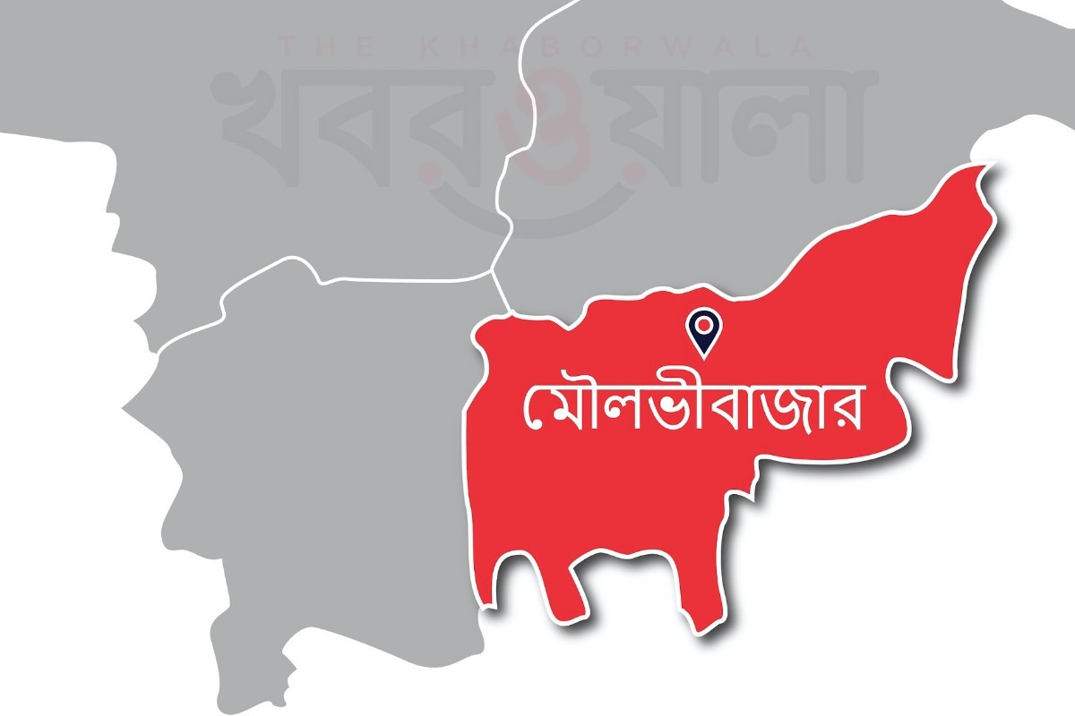মৌলভীবাজার সীমান্তে রোহিঙ্গাসহ আরও ৪৪ অনুপ্রবেশকারী আটক