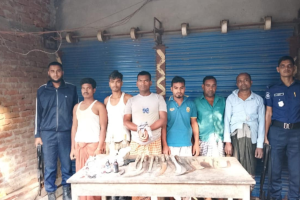 যৌথ পৃথক দু’টি অভিযানে ইউপি সদস্যসহ গ্রেপ্তার-৭