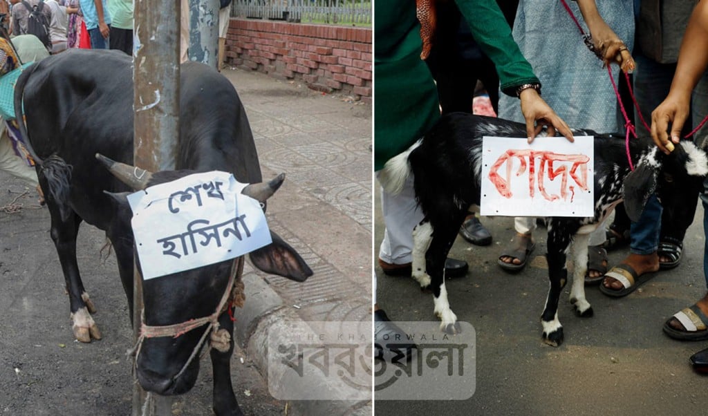 শাহবাগে গরু ছাগলকে ‘শেখ হাসিনা ও ‘কাদের আখ্যা দিয়ে জবাই 1747043900 শাহবাগে গরু-ছাগলকে ‘শেখ হাসিনা’ ও ‘কাদের’ আখ্যা দিয়ে জবাই!