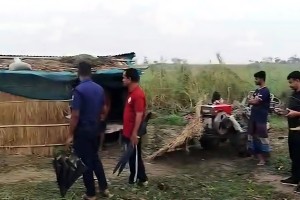 সিরাজগঞ্জে খামারিকে হত্যা করে গরু লুট