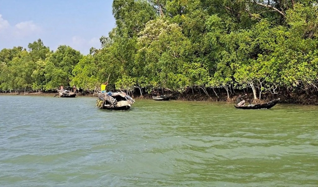 ৫৮ লাখ টাকার চুক্তিতে হাত বদল হলো সুন্দরবনের অপরাধজগতের নিয়ন্ত্রণ 1748400708 ৫৮ লাখ টাকার চুক্তিতে হাত বদল হলো সুন্দরবনের অপরাধজগতের নিয়ন্ত্রণ