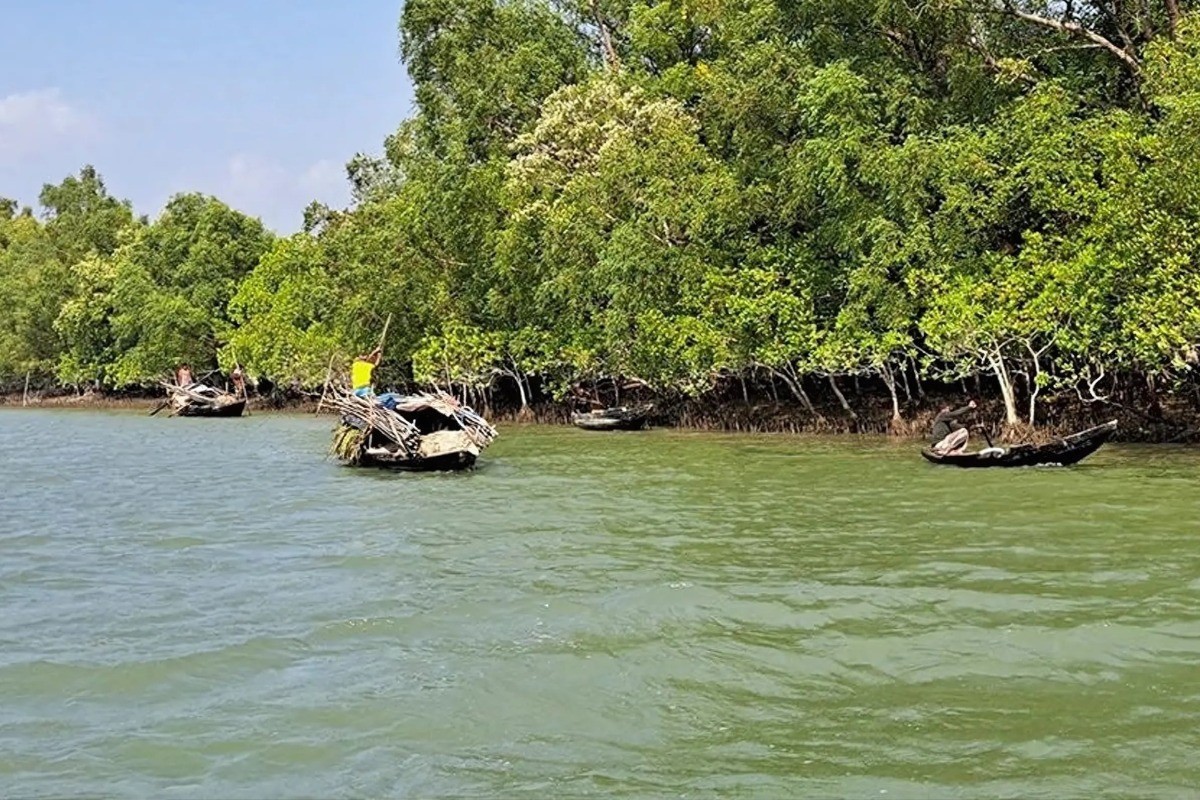 ৫৮ লাখ টাকার চুক্তিতে হাত বদল হলো সুন্দরবনের অপরাধজগতের নিয়ন্ত্রণ