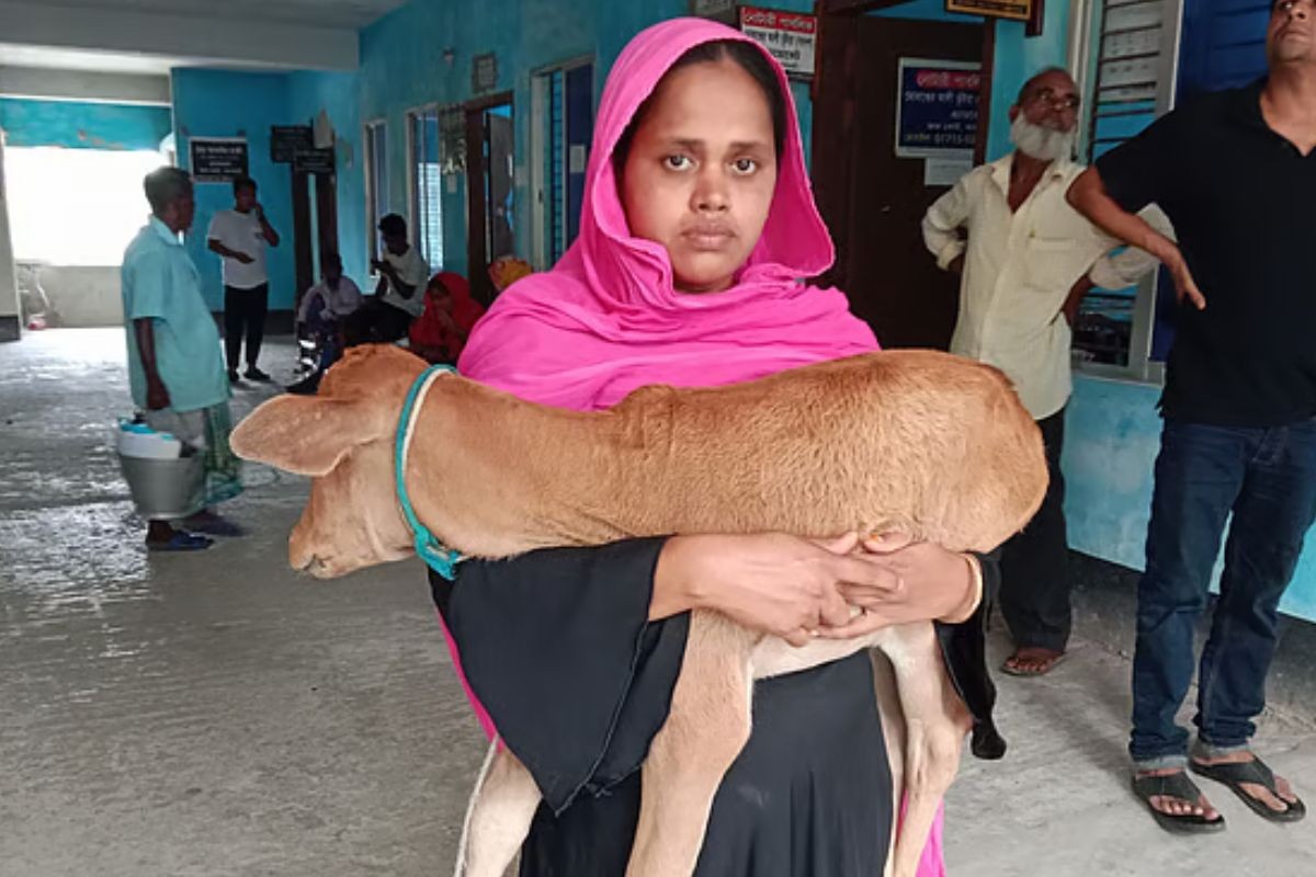 ‘চাঁদা’ না দেওয়ায় গাভি নিয়ে যাওয়া স্বেচ্ছাসেবক দলের সেই নেতা বহিষ্কার