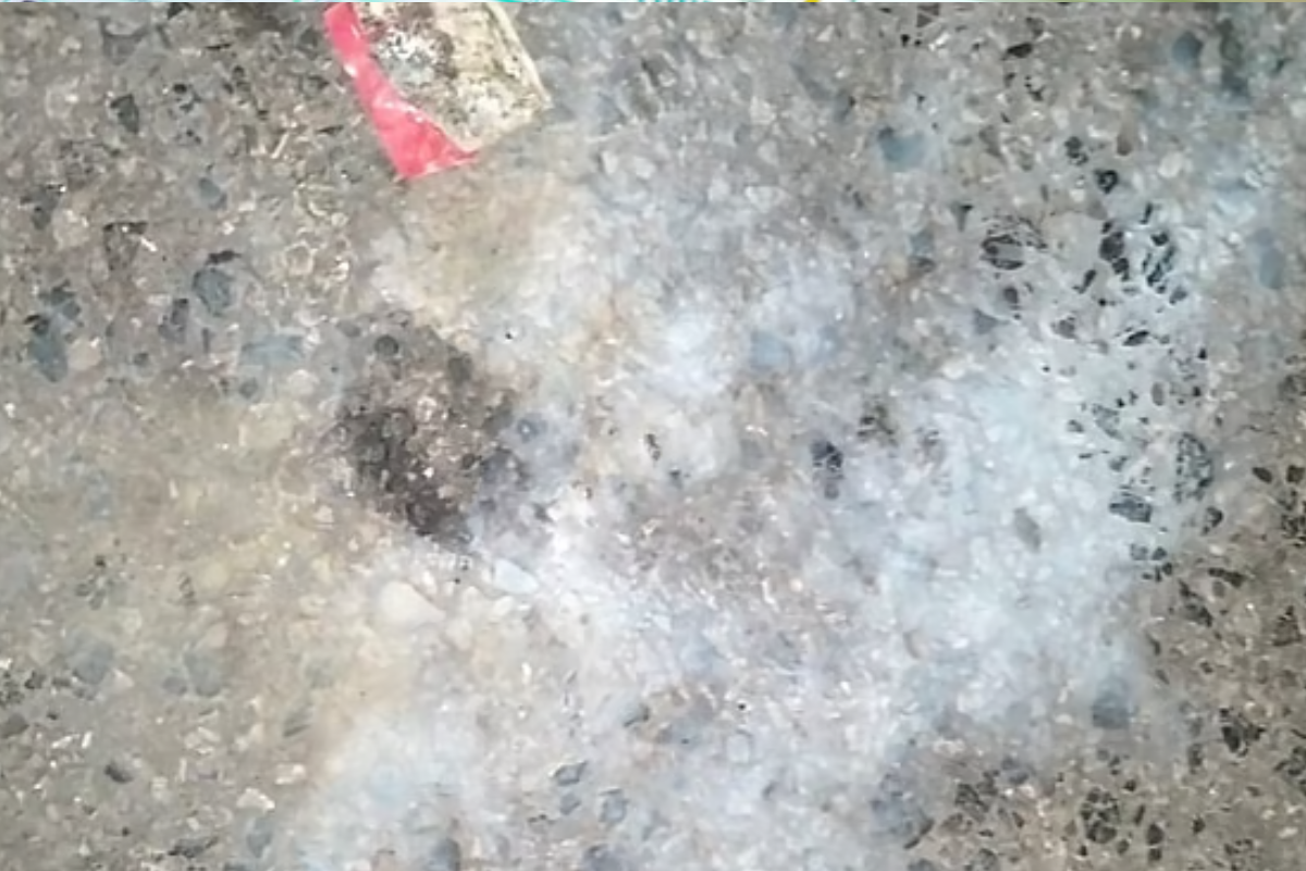 বাংলামোটরে এনসিপি কার্যালয়ের নিচে ককটেল হামলা, আহত ৪