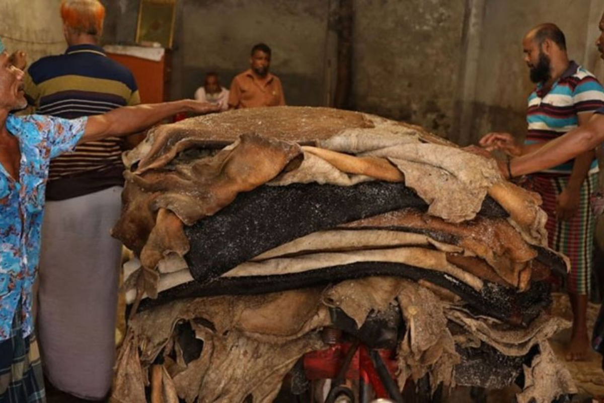 চামড়াশিল্পে খেলাপি ঋণের হার ৩৮ শতাংশ