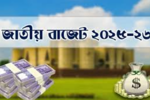 প্রথম বারের মতো বাজেট দিচ্ছেন ড. সালেহউদ্দিন আহমেদ