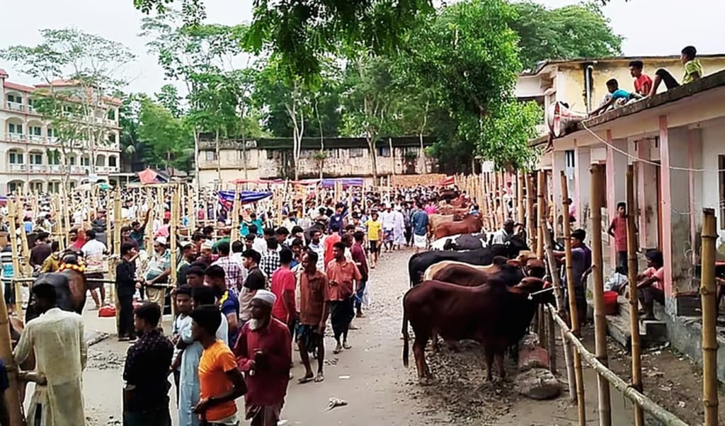 অবৈধ পশুর হাটে অভিযান 1748923482 অবৈধ পশুর হাটে অভিযান: নির্বাহী ম্যাজিস্ট্রেটকে ফ্যাসিস্টের দোসর’ বলে হেনস্তা