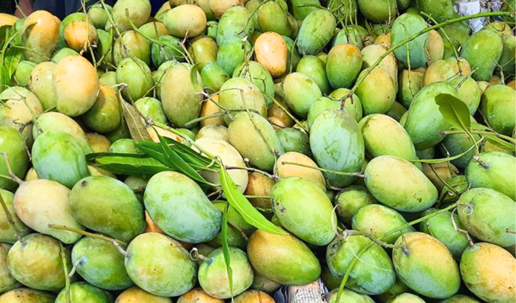 আম খেলে কি মোটা হয়ে যাবেন 1749037197 আম খেলে কি মোটা হয়ে যাবেন?