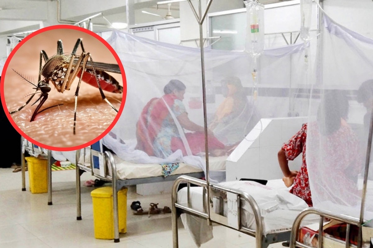 একদিনে ডেঙ্গুতে আক্রান্ত আরও ২৩৪ জন