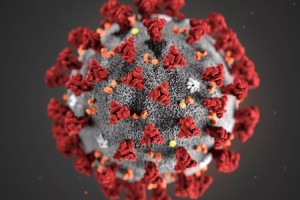 দেশে আবারও বাড়ছে করোনা, ২৪ ঘণ্টায় আক্রান্ত ৯