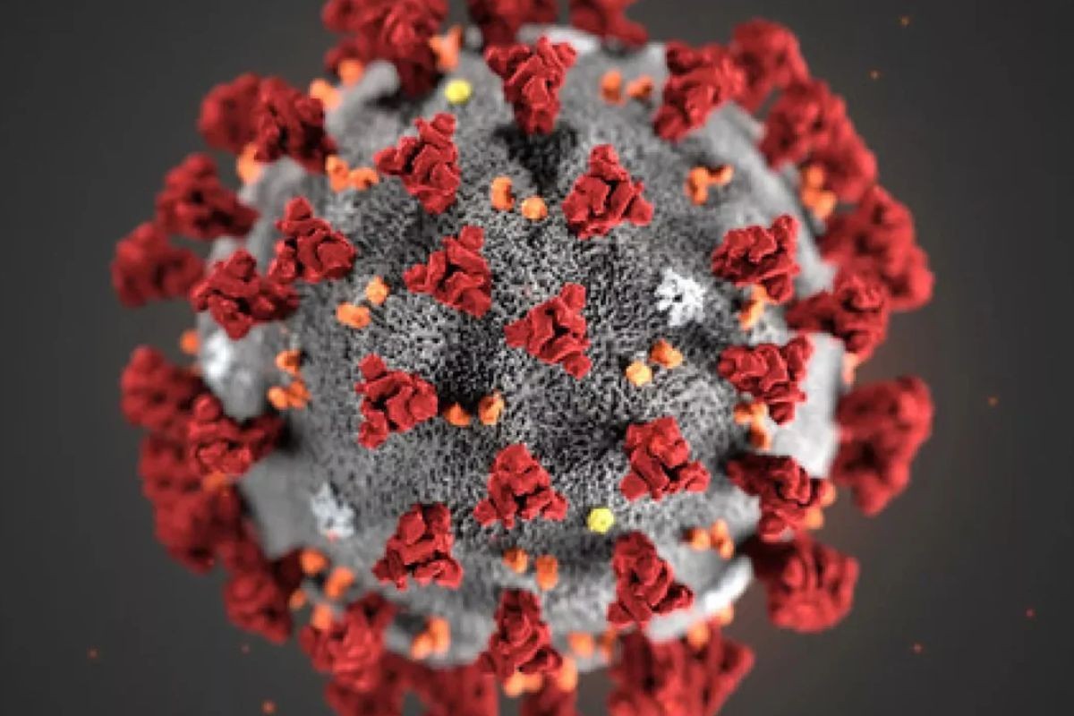 আরও ১০ জন করোনা আক্রান্ত, সবাই ঢাকার