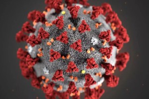 আরও ১০ জন করোনা আক্রান্ত, সবাই ঢাকার