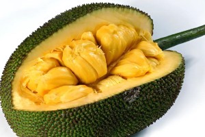 জিআই স্বীকৃতি পেলো গাজীপুরের কাঁঠাল