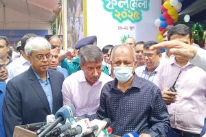 দেশি ফল খেলে বৈদেশিক মুদ্রা সাশ্রয় হবে: কৃষি উপদেষ্টা