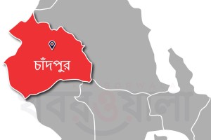 চাঁদপুরে শিয়ালের কামড়ে আহত ১০